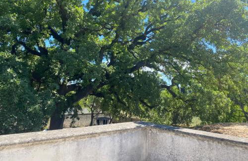 Casa La Quercia - Foto 28