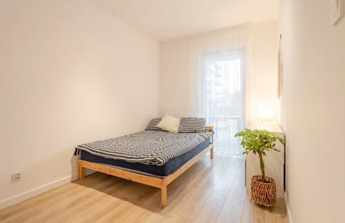 Love Live Łódź z ogrodem, Parking, Grill - Foto 19