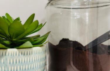 3BR Oasis DT ORL, Full Kitchen & Fenced Yard! - Foto 49