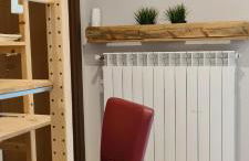 Musa Paradisiaca - Foto 21