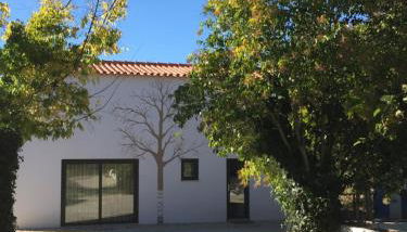 Horta dos Cedros - Foto 4, Garden