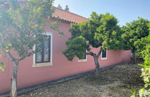 Casa da Mata - Foto 44