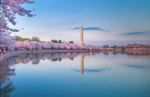 Pentagon Luxe Apartments Arlington - Near DC - Foto 68