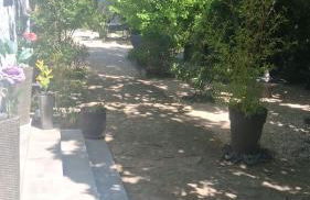 Petit coin de paradis - Foto 43