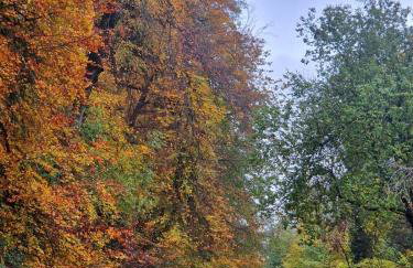 The Old Band Room House No 2 - Photo 21