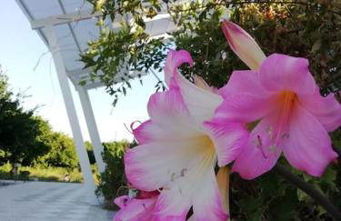 Panoramico, in villa, grande, con ampie terrazze - Foto 17