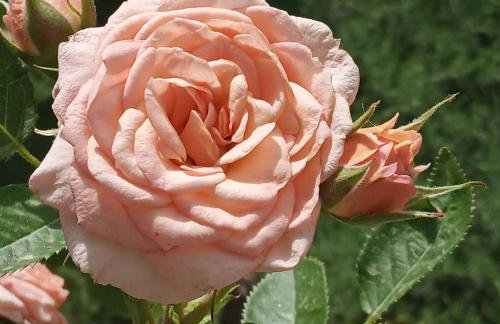 Giaglakis Rooms - Foto 64