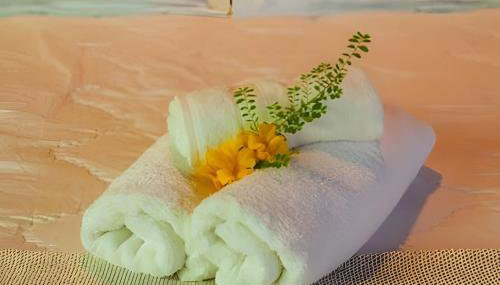 Morro da Luz - Ipê Loft - Foto 4