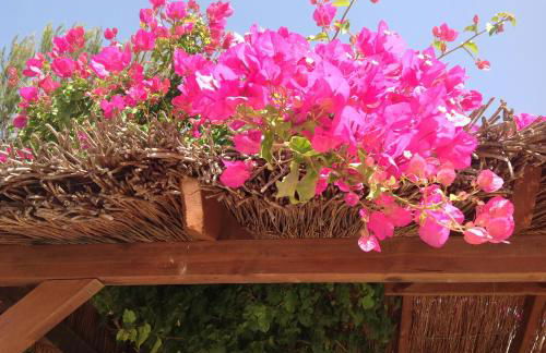 Finca Klara, Boutiquehotel - Apartment -Javea-Moraira- - Foto 54