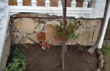 La lechuza blanca - Foto 13