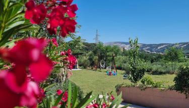 Zekic Family Apartments with Large Garden & Private Parking Quiet Area Lopar - Foto 4, Garden, Garden view