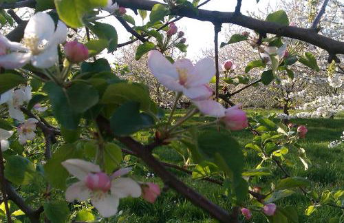 Baumanns Landhaus Durbach - Foto 74
