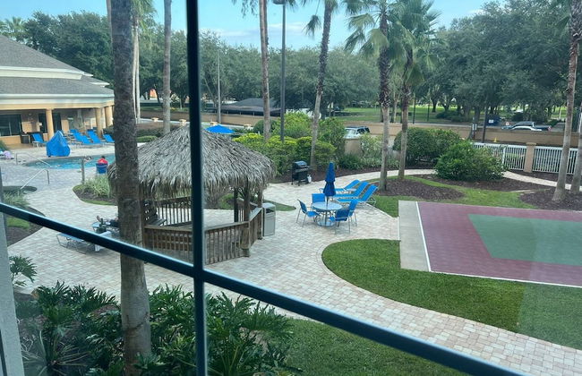 Disney Favorite Free Shuttle - Foto 2