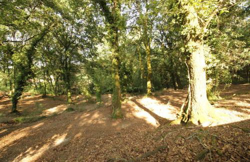 Quinta d'Areda Wine&Pool Experience - Foto 23