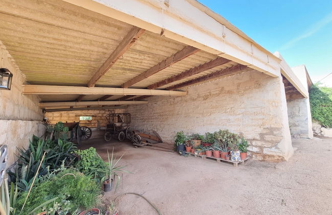 Agroturismo Son Juaneda - Photo 63