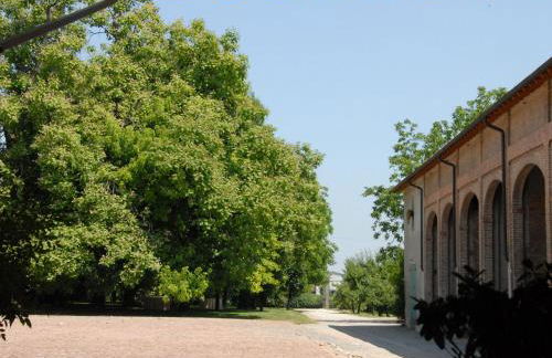 Antica Grancia Benedettina - Foto 18