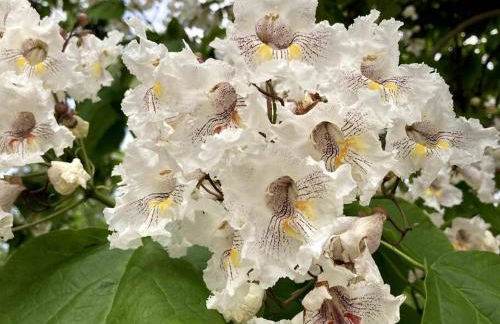 Atico Mirador del Piélago - Foto 29