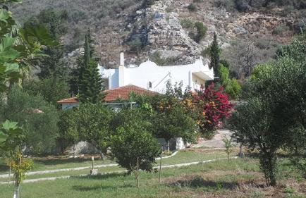 Villa Dunes 350m from the sandy beach - Foto 1