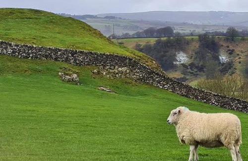 Dove View Hartington: luxury 3 bed cottage - Foto 18
