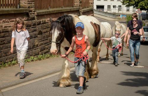 Nengshof Ferienwohnung Wildrose - Foto 49