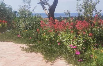 Apartman Franolic Punat - Foto 62