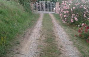 Mulino a vento - Foto 28