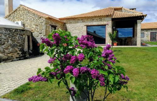 Quinta da Ribeira - Foto 12