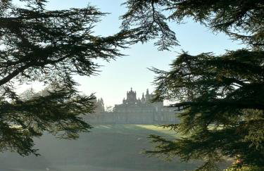 Angel Yard - Foto 12