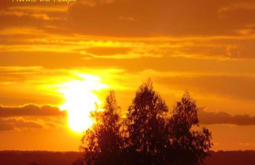 Ninho Da Poupa - Foto 66