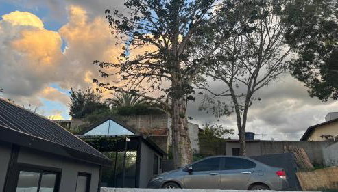 Tiny House Socorro - 4 mini casas independentes - Foto 5