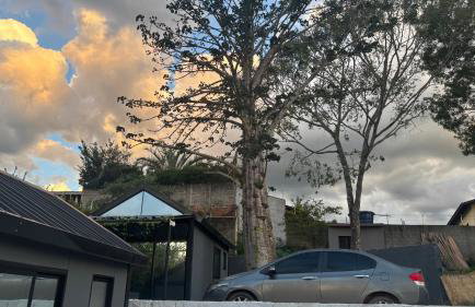 Tiny House Socorro - 4 mini casas independentes - Foto 5