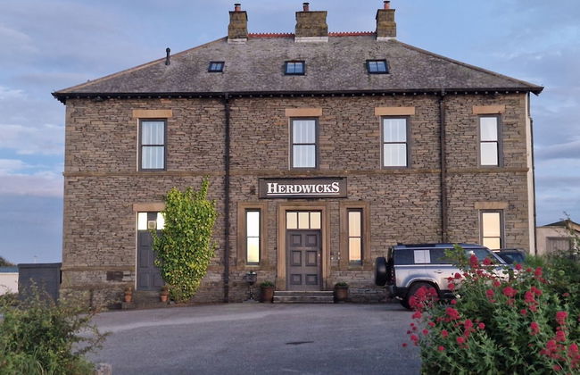 Herdwicks - Foto 1