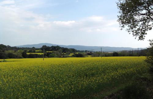 Casa Rural CAN PANXA - Foto 36