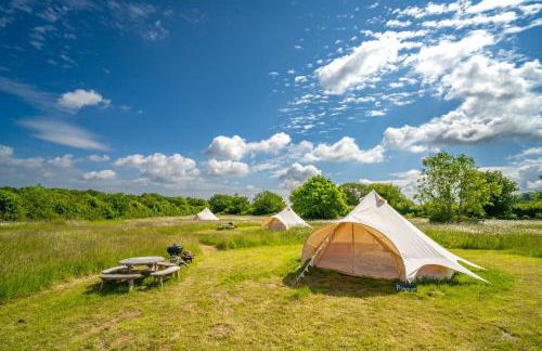 Cowslip at Blancas Bell Tents - Foto 7