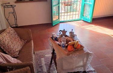 Poderino La Noce - Foto 36