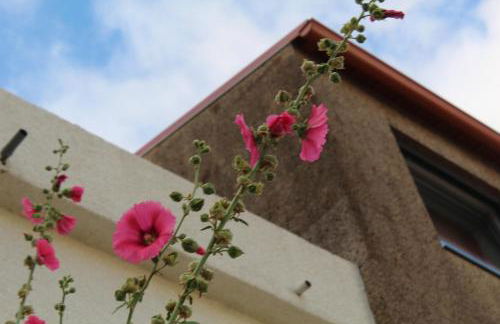 Sambuc'asa - Serra da Estrela - Foto 38