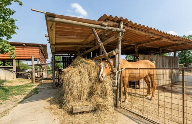 Agriturismo La Buona Terra Bio - Foto 7