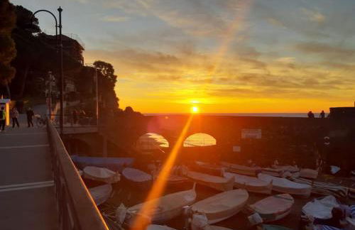 azienda agricola zulin casa elena - Foto 2