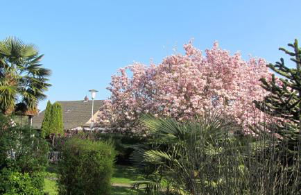 Cologne Apartment – City, Trade Fair, E-Werk - Foto 19