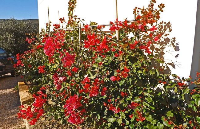 Agriturismo Monaci Templari - Photo 42