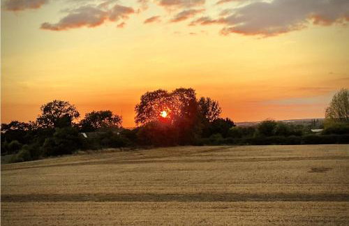 The Windmill Blackthorn Hill - Foto 9
