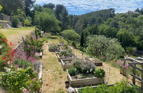 Castel'lodge - Foto 34