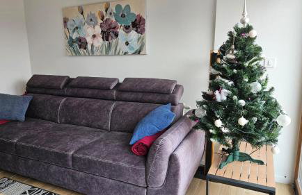 Sunčev breg - Foto 12