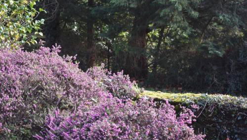 Country House La Feronnière - Foto 2