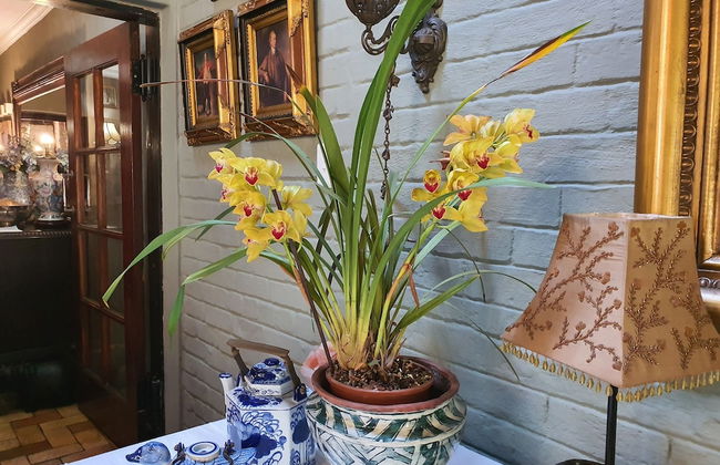 Waterhouse Guest Lodges 202 Lawley Street - Foto 79