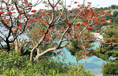 Villa Adriandre - Foto 60