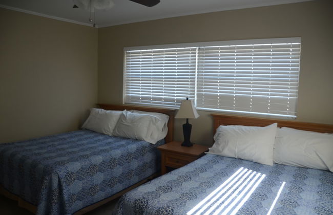 The New Hotel Indian Shores - Photo 8