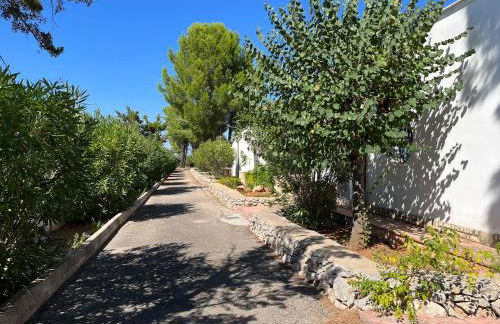 Casette Masseria La Camardia - Foto 40