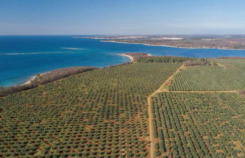 Apartment Romano with Sea View near Poreč - Foto 34
