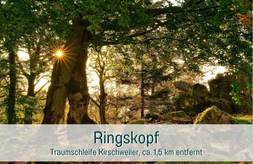 Traumweiler Ferienhäuser am Nationalpark Hunsrück Hochwald - barrierefrei -teilweise Hundefreundlich - privater Garten - Natur beginnt direkt am Haus - Photo 45